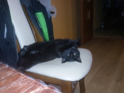 8a1d4189-458e-4ff0-89f6-30279884a916