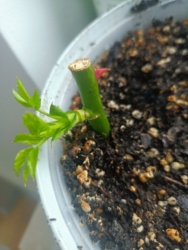 99160207-3009-4bed-a3e8-ff3823671148