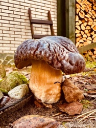 bac25a58-1455-45fa-a720-d46ddaaf7fd1