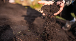 600 kg darmowego kompostu dla każdego mieszkańca. Wystarczy się zgłosić