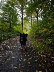 f55b5923-994c-4de1-be27-474e4153a0a3