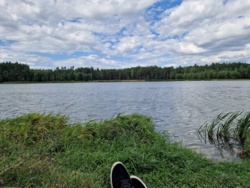 0d0baa5a-0ae4-4613-b913-9d4a8616bba3