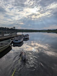 c4f2f00b-6d17-43fb-a1d2-1445e4f5a370