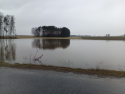 6b560d6a-43ba-42a5-828a-91f2e38d32d4