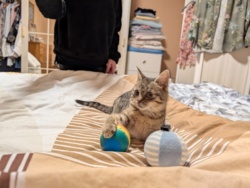 db8a8c8b-8eb4-4829-9c3e-d3d60e680def