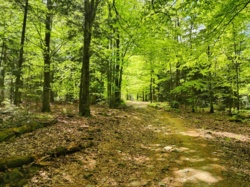 a04222e3-863b-4565-ae70-4efa61905bbb