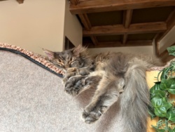 b573c253-d848-4ae2-b7e8-8feb5b11fa4f