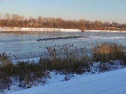 740dcae9-93c4-4d44-ad1b-dbd80e08168e