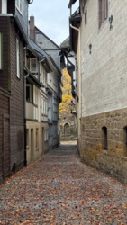 4a060c1d-08b6-44d8-853f-dbb5b920eaf9