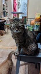 d87cc744-ecd8-4c20-8c04-0e59c06a94df