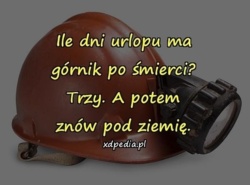 a3c431ea-2edc-4c46-8947-256a33006c6f