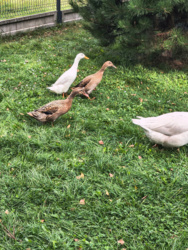 234e01a9-e190-4aaf-871f-eca23f6ac523