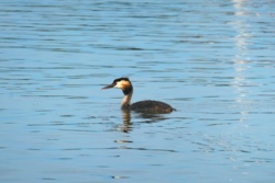 2dbebc4a-e875-499f-9523-32dc57b0e3d8