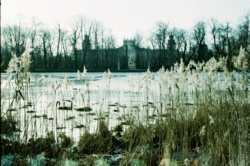 8497bf1a-b18a-48aa-b825-09ed59cf572c