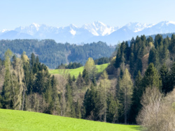 43b3e154-18e5-4467-a78c-194beb562fed