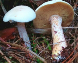 9176efc4-7497-47f8-9ad5-2d8158b38de1