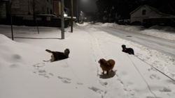 54cecd8b-0dd4-4a9c-a8d0-8b22745c6510