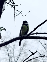 e982f5a1-4634-4340-a93b-3becba042538