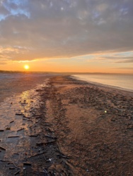 95e3fa9d-e433-4f7a-9500-aa0c73b33ab8