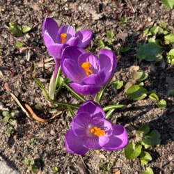 be99661c-69cf-43dc-9111-4339c122f9b2