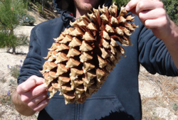 65a1ebd9-496b-4e5a-87e8-1d81a27556d1