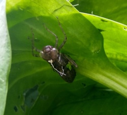 03dbea29-7fd9-42aa-81cc-60238d467861