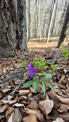 f42bbe39-6be2-4814-9252-edafbc11d15a