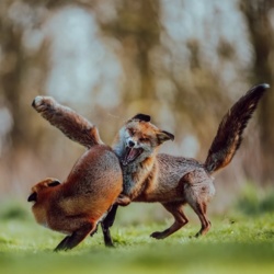 f4c952f0-4bdd-464c-8c45-dad6ce11a61c