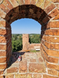 e66cbd77-8ccb-4e0f-b51e-ae7b31610d4c