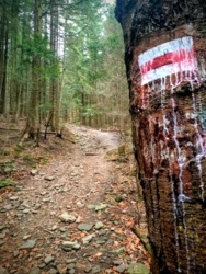 d26428bf-0df4-4e82-8f3f-a72db7021d01