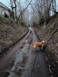 575824a5-5642-42c6-94be-2a50a677afd8