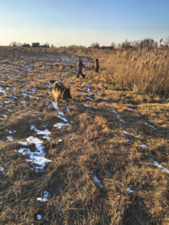 2c019762-cc2b-452e-a6c9-99bcf7329270