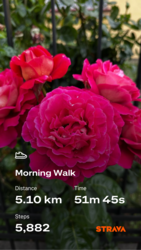 50af8744-aabd-417e-a529-7628314848c8