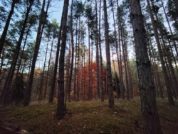 77991eae-dcb5-49de-9bde-26988c5fe181