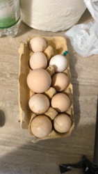 e6fcf797-b565-4131-833e-ede632c3a93a