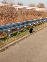 7071cf96-4f78-4a4d-8847-ea549f8226c1