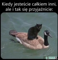 07cdee4b-901a-40bf-b471-6f3eddffb274