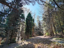 866b1f6f-eab5-40c6-9464-1b5195ecb3de