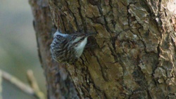 08924a35-ece1-40ad-9a04-ff2c36b54b35