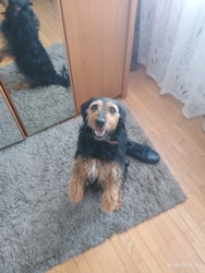 c88f9497-0334-4ec3-b6ae-612abd81f39f