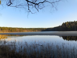 bf06d002-290e-4c5e-9ac0-7213ad2034bb