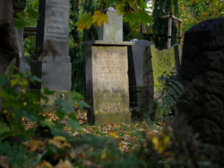 dae90357-1720-4acb-923b-3281288d19eb