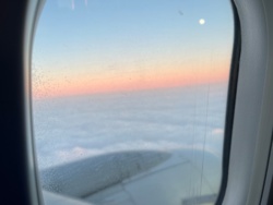 8c0b2901-aab5-4d1f-9e8b-6b4b38249419