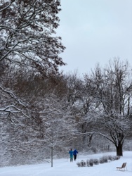 44081a83-d714-4ed7-afed-9d2a7e2b7f0a