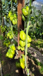 d8cc9a75-0bf0-4f75-b684-80237b3e3265