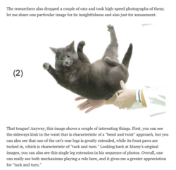 e44c9606-14ac-4a80-8989-de17231d7bc3