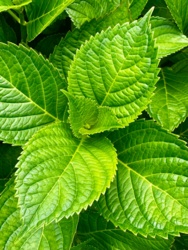 8932dcf9-bdaa-4e6b-bcf4-f835e4e5a342