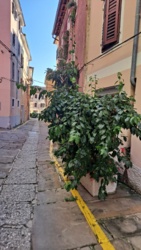 3f1f7436-6809-44df-8e99-66a510ecb3d5