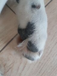 c9a86608-0243-49d3-aedf-e89c84567399