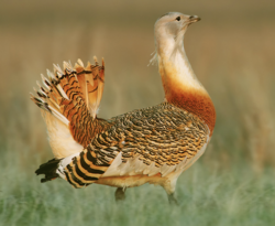 b2d26cf5-eb7d-4b5d-adcb-8cede0391386